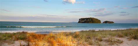 10 Best Whangamata Hotels, New Zealand (From $150) .